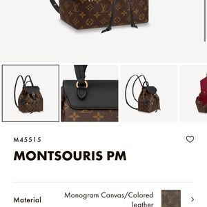 Louis Vuitton backpack